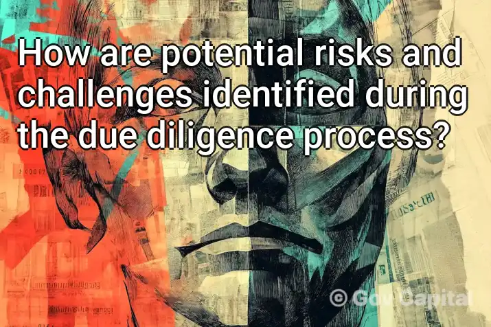 How are potential risks and challenges identified during the due diligence process?