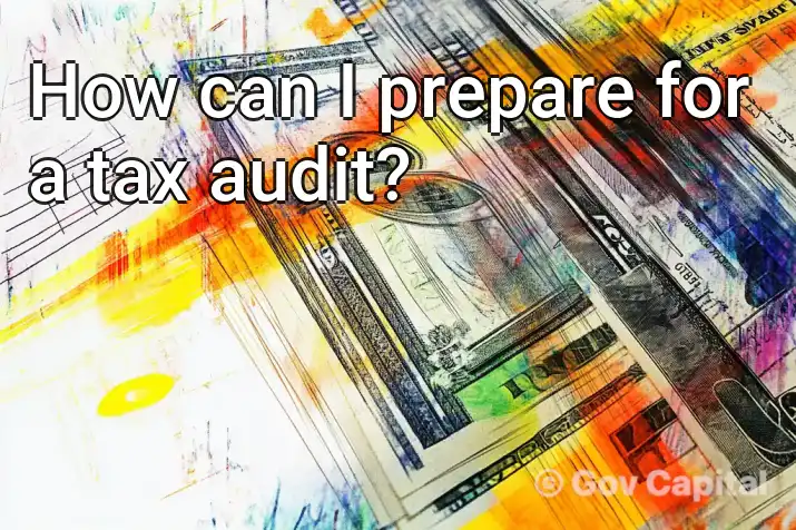 How can I prepare for a tax audit?